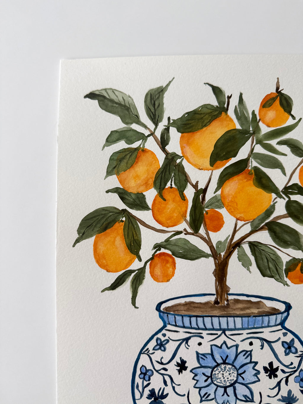 Orange Grove