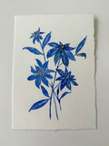 Indigo Wildflowers