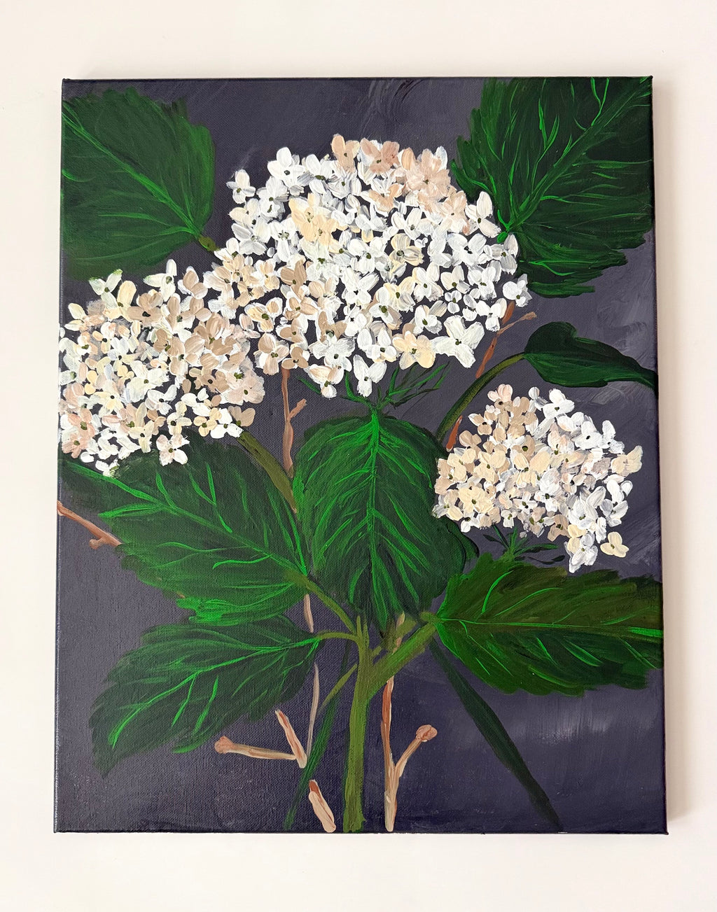 Whispers in Cream