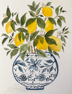 Lemon Grove
