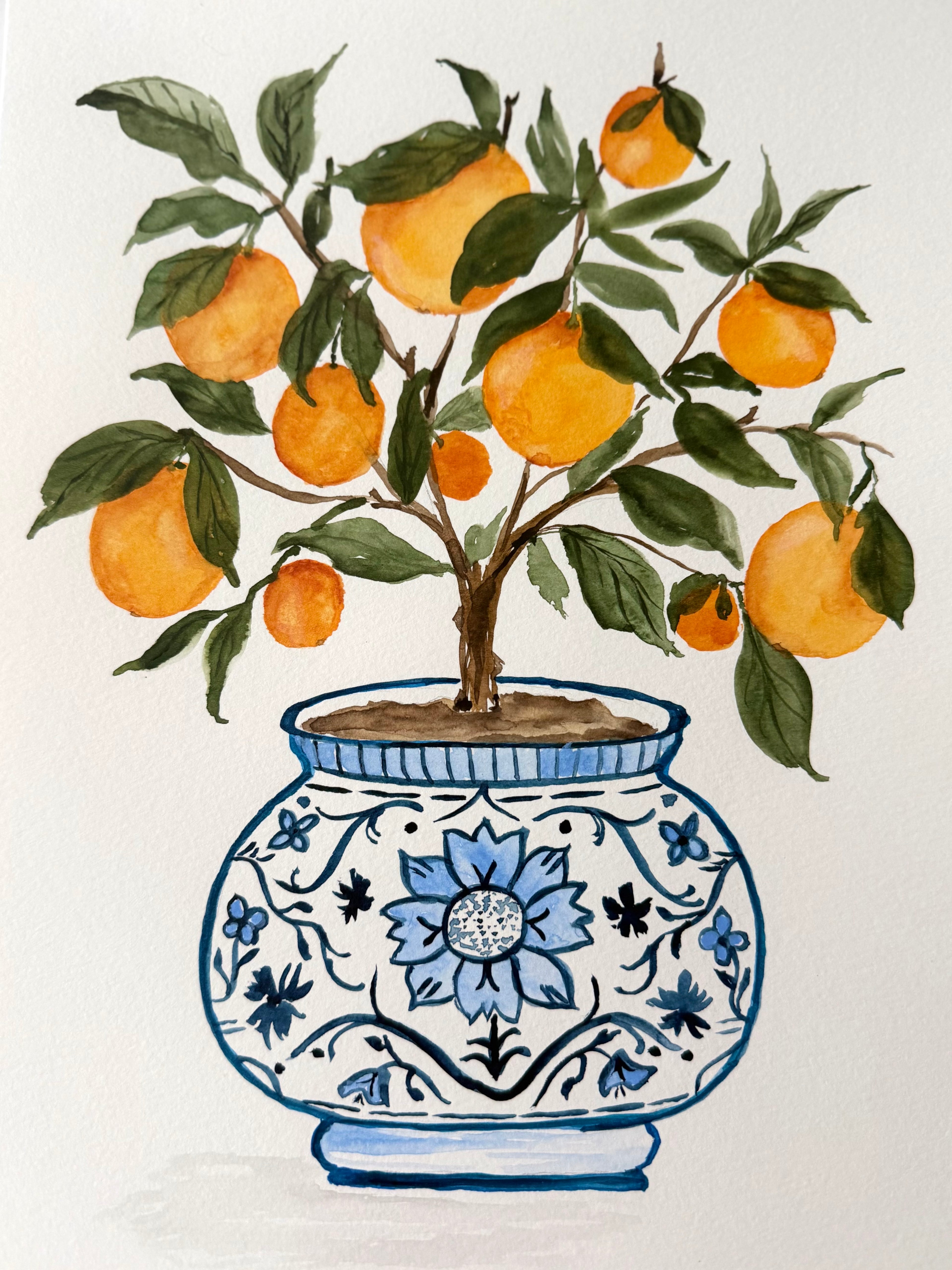 Orange Grove