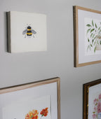 Honey Bee
