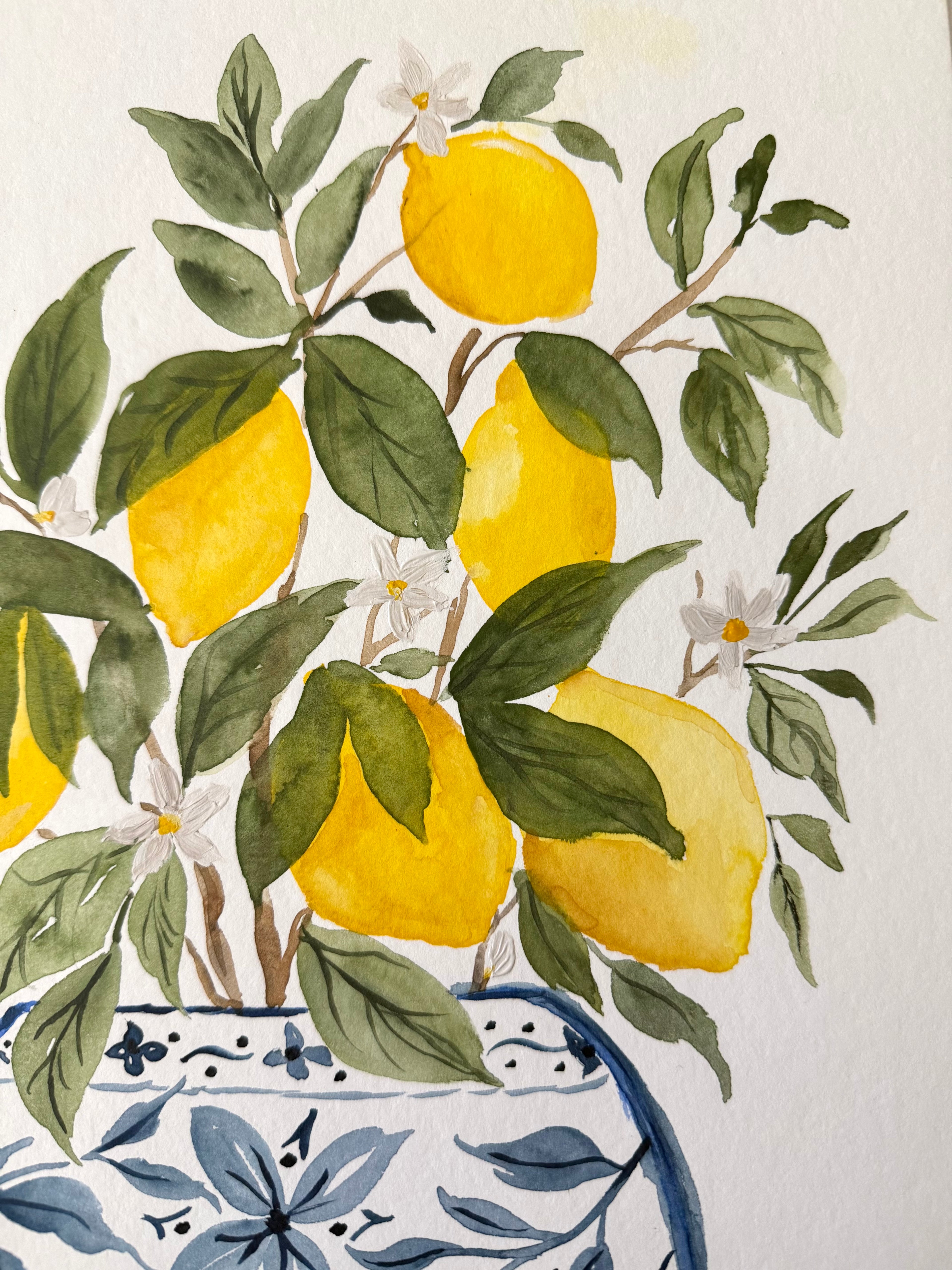 Lemon Grove