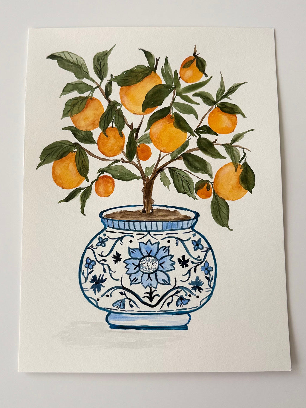 Orange Grove