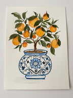 Orange Grove