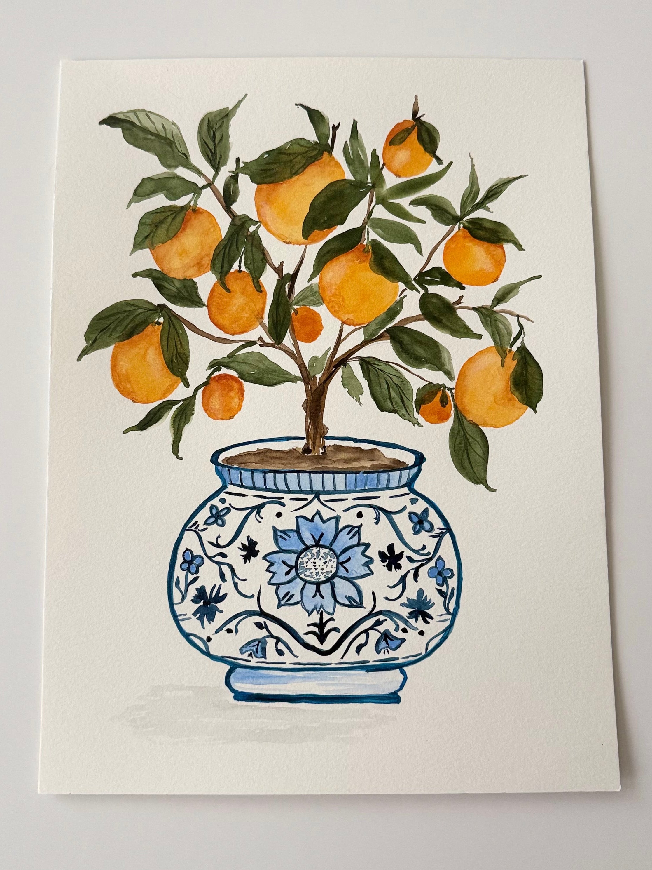 Orange Grove