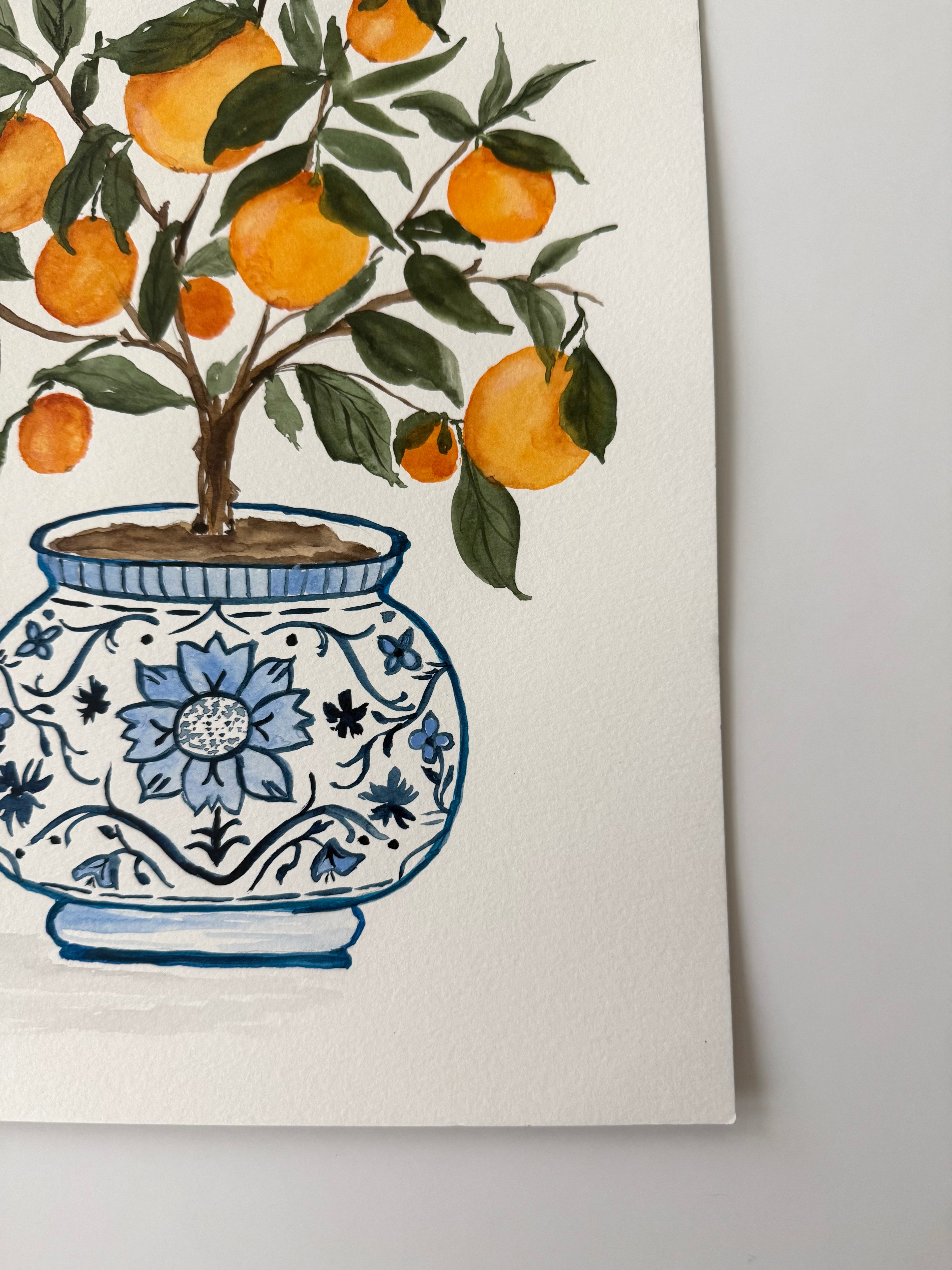 Orange Grove