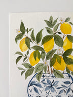 Lemon Grove