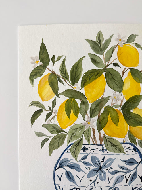 Lemon Grove