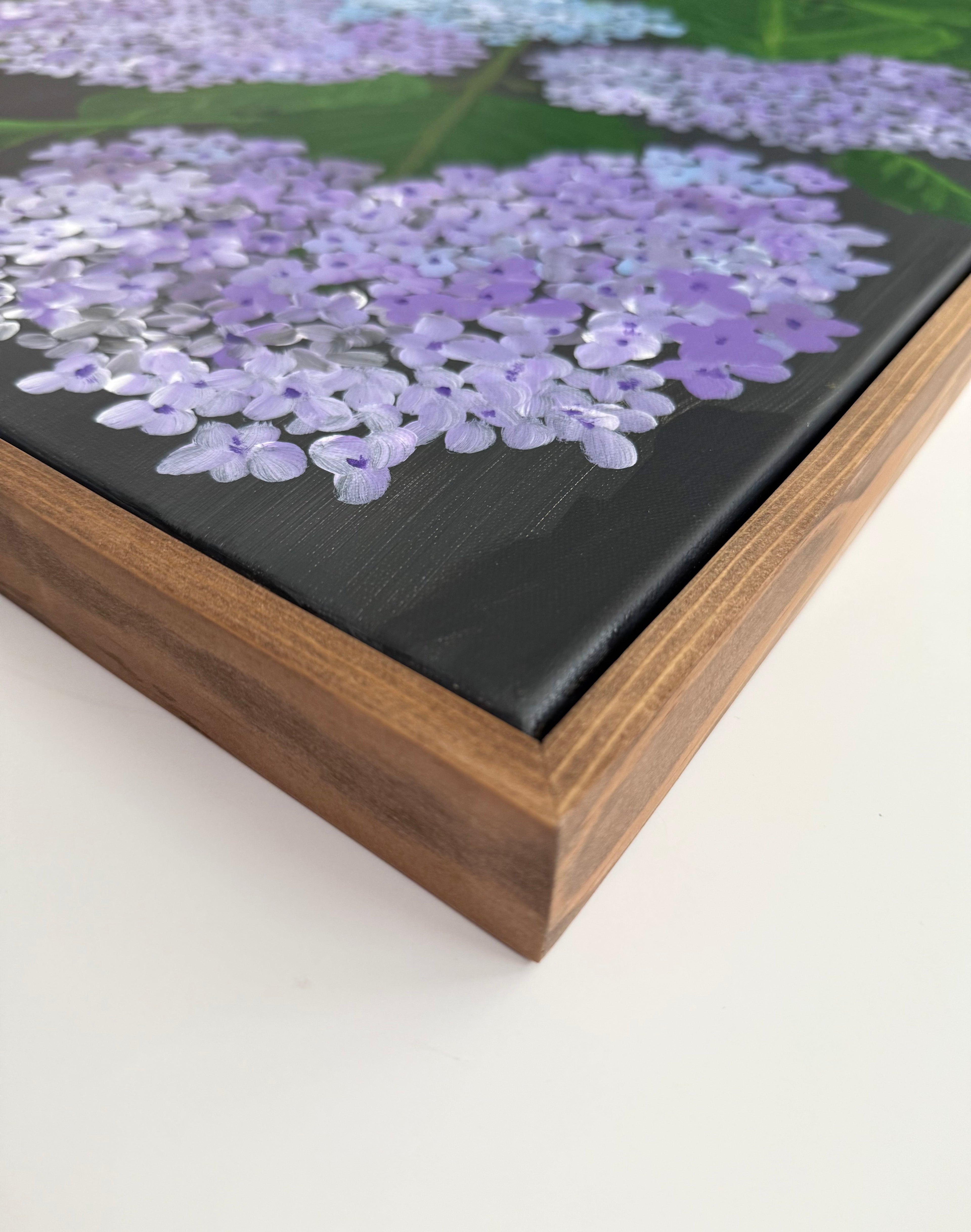 Stillness in Bloom
