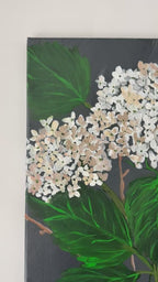 Whispers in Cream